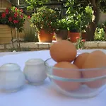Nostos Hotell Galaxídhion